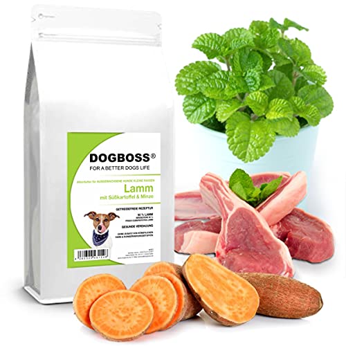 DOGBOSS Trockenfutter für kleine Rassen (bis 15 kg) | getreidefreie Rezeptur | Verschiedene Sorten (Lamm, 2 kg) von DOGBOSS
