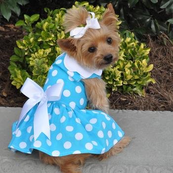 Blau Polka Dot Kleid mit Leine und D Ring (Klein), Medium, Blau von DOGGIE DESIGN