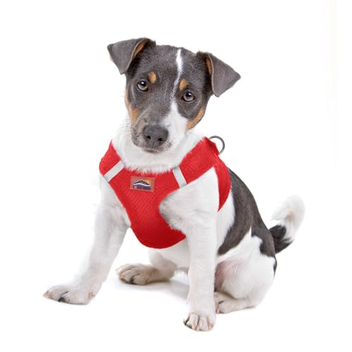 DOGGIE DESIGN American River Ultra Hundegeschirr aus Netzstoff, Erstickungsfrei, Größe S, Rot DOGGIE DESIGN American River Ultra Hundegeschirr aus Netzstoff, Erstickungsfrei, Größe S, Rot von DOGGIE DESIGN