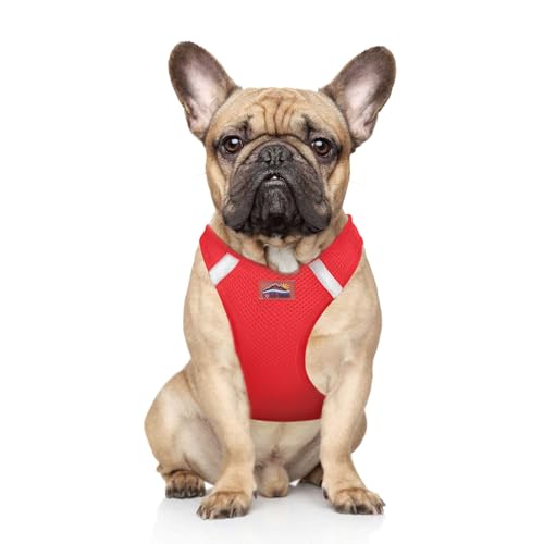 DOGGIE DESIGN American River Ultra Hundegeschirr aus Netzstoff, erstickungsfrei, Größe M, Rot DOGGIE DESIGN American River Ultra Hundegeschirr aus Netzstoff, erstickungsfrei, Größe M, Rot von DOGGIE DESIGN