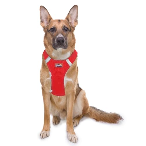 DOGGIE DESIGN American River Ultra Hundegeschirr aus Netzstoff, erstickungsfrei, Größe XXXL, Rot DOGGIE DESIGN American River Ultra Hundegeschirr aus Netzstoff, erstickungsfrei, Größe XXXL, Rot von DOGGIE DESIGN
