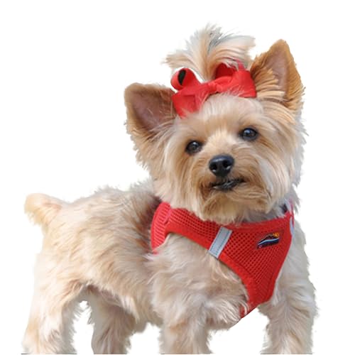 DOGGIE DESIGN American River Ultra Hundegeschirr aus Netzstoff, erstickungsfrei, Rot, Größe XS DOGGIE DESIGN American River Ultra Hundegeschirr aus Netzstoff, erstickungsfrei, Rot, Größe XS von DOGGIE DESIGN