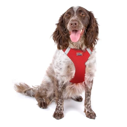 DOGGIE DESIGN American River Ultra Hundegeschirr aus Netzstoff, erstickungsfrei, Rot, Größe XXL DOGGIE DESIGN American River Ultra Hundegeschirr aus Netzstoff, erstickungsfrei, Rot, Größe XXL von DOGGIE DESIGN