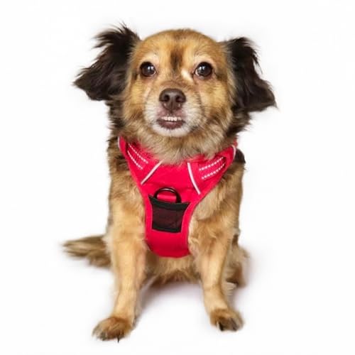 Doggie Design Venture Paw Hundegeschirr, kein Ziehen, einfach verstellbar, Welpengeschirr, Anti-Zieh-Hundehalsband für Spaziergänge und Outdoor-Abenteuer, Purpurrot, S Doggie Design Venture Paw Hundegeschirr, kein Ziehen, einfach verstellbar, Welpengeschirr, Anti-Zieh-Hundehalsband für Spaziergänge und Outdoor-Abenteuer, Purpurrot, S von DOGGIE DESIGN
