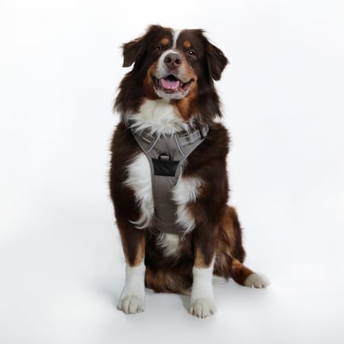 Doggie Design Venture Paw Hundegeschirr, kein Ziehen, einfach verstellbares Welpengeschirr, Anti-Zieh-Hundehalsband für Spaziergänge und Outdoor-Abenteuer, Getrockneter Salbei, XL Doggie Design Venture Paw Hundegeschirr, kein Ziehen, einfach verstellbares Welpengeschirr, Anti-Zieh-Hundehalsband für Spaziergänge und Outdoor-Abenteuer, Getrockneter Salbei, XL von DOGGIE DESIGN