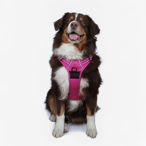 Doggie Design Venture Paw No Pull Hundegeschirr, einfach verstellbares Welpengeschirr, Anti-Zieh-Hundehalsband für Spaziergänge und Outdoor-Abenteuer, Wilde Himbeere, XL Doggie Design Venture Paw No Pull Hundegeschirr, einfach verstellbares Welpengeschirr, Anti-Zieh-Hundehalsband für Spaziergänge und Outdoor-Abenteuer, Wilde Himbeere, XL von DOGGIE DESIGN
