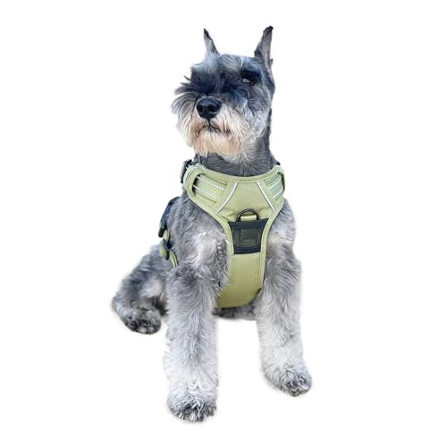 Doggie Design Venture Paw No Pull Hundegeschirr – einfach verstellbares Welpengeschirr – Anti-Zieh-Hundehalsband für Spaziergänge und Abenteuer im Freien – Aspen, M Doggie Design Venture Paw No Pull Hundegeschirr – einfach verstellbares Welpengeschirr – Anti-Zieh-Hundehalsband für Spaziergänge und Abenteuer im Freien – Aspen, M von DOGGIE DESIGN