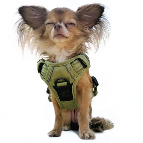 Doggie Design Venture Paw No Pull Hundegeschirr – einfach verstellbares Welpengeschirr – Anti-Zieh-Hundehalsband für Spaziergänge und Abenteuer im Freien – Aspen, XS Doggie Design Venture Paw No Pull Hundegeschirr – einfach verstellbares Welpengeschirr – Anti-Zieh-Hundehalsband für Spaziergänge und Abenteuer im Freien – Aspen, XS von DOGGIE DESIGN