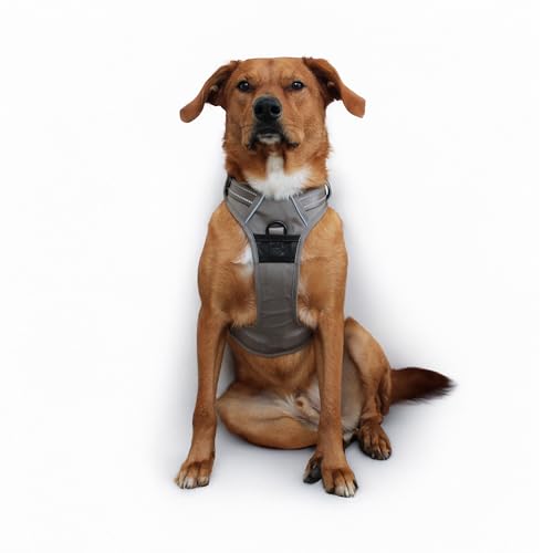 Doggie Design Venture Paw No Pull Hundegeschirr – einfach verstellbares Welpengeschirr – Anti-Zieh-Hundehalsband für Spaziergänge und Outdoor-Abenteuer – Bergsee, L Doggie Design Venture Paw No Pull Hundegeschirr – einfach verstellbares Welpengeschirr – Anti-Zieh-Hundehalsband für Spaziergänge und Outdoor-Abenteuer – Bergsee, L von DOGGIE DESIGN