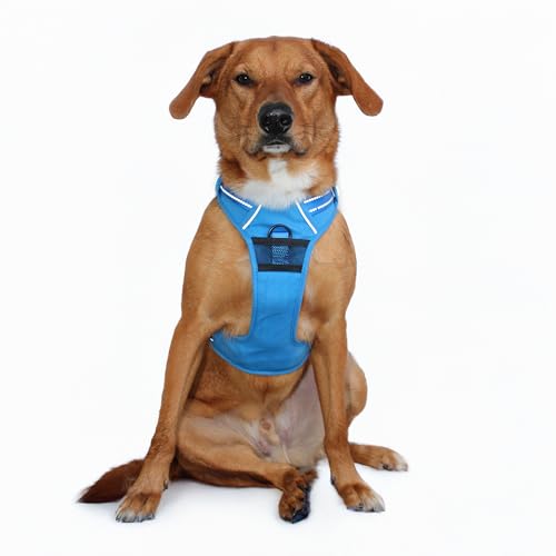 Doggie Design Venture Paw No Pull Hundegeschirr – einfach verstellbares Welpengeschirr – Anti-Zieh-Hundehalsband für Spaziergänge und Outdoor-Abenteuer – Bergsee, L Doggie Design Venture Paw No Pull Hundegeschirr – einfach verstellbares Welpengeschirr – Anti-Zieh-Hundehalsband für Spaziergänge und Outdoor-Abenteuer – Bergsee, L von DOGGIE DESIGN