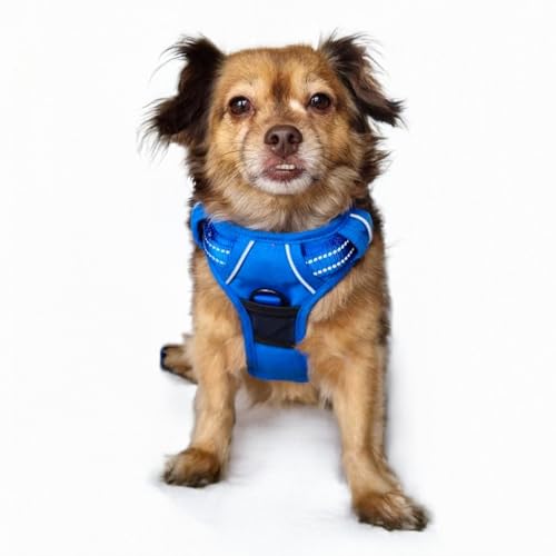 Doggie Design Venture Paw No Pull Hundegeschirr – einfach verstellbares Welpengeschirr – Anti-Zieh-Hundehalsband für Spaziergänge und Outdoor-Abenteuer – Bergsee, S Doggie Design Venture Paw No Pull Hundegeschirr – einfach verstellbares Welpengeschirr – Anti-Zieh-Hundehalsband für Spaziergänge und Outdoor-Abenteuer – Bergsee, S von DOGGIE DESIGN