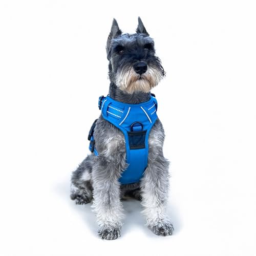 Doggie Design Venture Paw No Pull Hundegeschirr – einfach verstellbares Welpengeschirr – Anti-Zieh-Hundehalsband für Spaziergänge und Outdoor-Abenteuer – Getrockneter Salbei, M Doggie Design Venture Paw No Pull Hundegeschirr – einfach verstellbares Welpengeschirr – Anti-Zieh-Hundehalsband für Spaziergänge und Outdoor-Abenteuer – Getrockneter Salbei, M von DOGGIE DESIGN