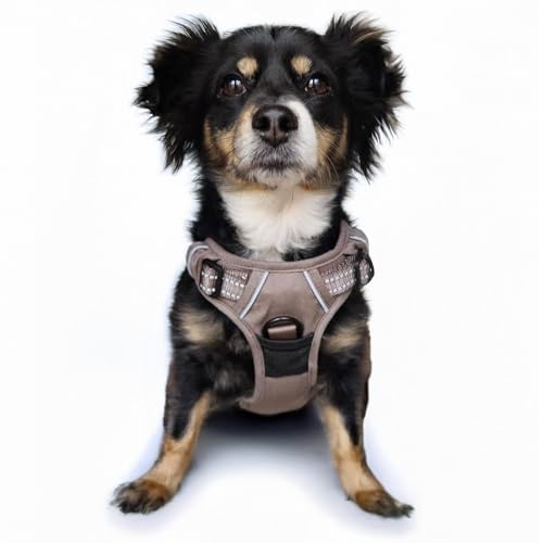 Doggie Design Venture Paw No Pull Hundegeschirr – einfach verstellbares Welpengeschirr – Anti-Zieh-Hundehalsband für Spaziergänge und Outdoor-Abenteuer – Getrockneter Salbei, S Doggie Design Venture Paw No Pull Hundegeschirr – einfach verstellbares Welpengeschirr – Anti-Zieh-Hundehalsband für Spaziergänge und Outdoor-Abenteuer – Getrockneter Salbei, S von DOGGIE DESIGN