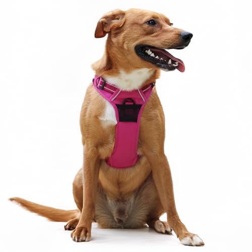 Doggie Design Venture Paw No Pull Hundegeschirr – einfach verstellbares Welpengeschirr – Anti-Zieh-Hundehalsband für Spaziergänge und Outdoor-Abenteuer – Wilde Himbeere, L Doggie Design Venture Paw No Pull Hundegeschirr – einfach verstellbares Welpengeschirr – Anti-Zieh-Hundehalsband für Spaziergänge und Outdoor-Abenteuer – Wilde Himbeere, L von DOGGIE DESIGN