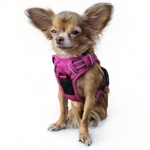 Doggie Design Venture Paw No Pull Hundegeschirr – einfach verstellbares Welpengeschirr – Anti-Zieh-Hundehalsband für Spaziergänge und Outdoor-Abenteuer – Wilde Himbeere, XS Doggie Design Venture Paw No Pull Hundegeschirr – einfach verstellbares Welpengeschirr – Anti-Zieh-Hundehalsband für Spaziergänge und Outdoor-Abenteuer – Wilde Himbeere, XS von DOGGIE DESIGN