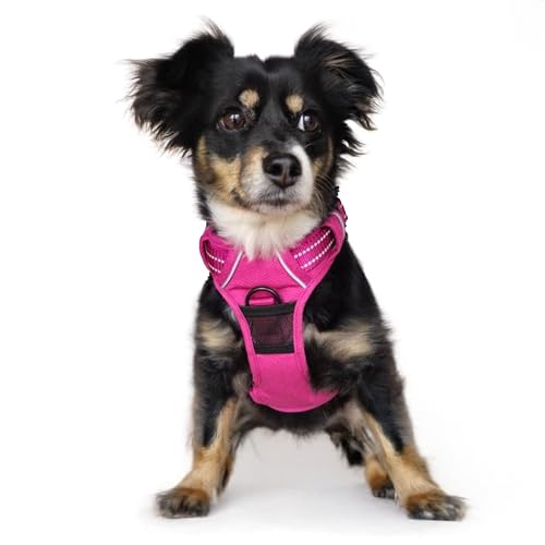 Venture Paw Pull Control Hundegeschirr, wilde Himbeere, Größe S von DOGGIE DESIGN