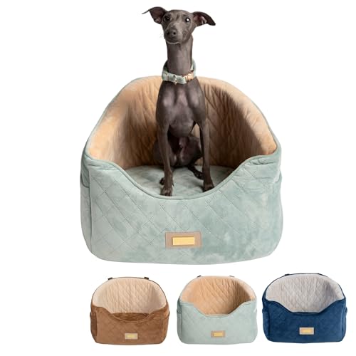 DOGGO Selection Premium Hundeautositz für kleine & mittelgroße Hunde - Waschbares Booster Reisebett mit Sicherheitsgurt & Aufbewahrung - Luxuriöses tragbares Haustierbett für Auto und Zuhause - Unter DOGGO Selection Premium Hundeautositz für kleine & mittelgroße Hunde - Waschbares Booster Reisebett mit Sicherheitsgurt & Aufbewahrung - Luxuriöses tragbares Haustierbett für Auto und Zuhause - Unter von DOGGO Selection