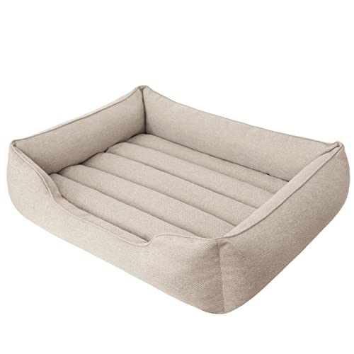 DOGGY Hundebett, Katzenbett, Hundesofa, Abnehmbar Bezug, mittelgroße Hunde, Möbel für Tiere, Hundeliege, Schlafplätze, Waschbar, XL: 85x65 cm, Beige DOGGY Hundebett, Katzenbett, Hundesofa, Abnehmbar Bezug, mittelgroße Hunde, Möbel für Tiere, Hundeliege, Schlafplätze, Waschbar, XL: 85x65 cm, Beige von DOGGY
