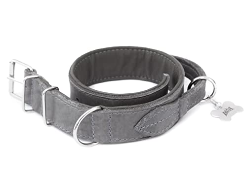 Hundehalsband Leder mit Griff, Lederhalsband Hund, Halsband, Metallschnalle, Asche, 47-54 cm Hundehalsband Leder mit Griff, Lederhalsband Hund, Halsband, Metallschnalle, Asche, 47-54 cm von DOGGY