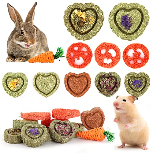 11 Spielzeug für kleine Tiere,Kauspielzeug für Kaninchen,Timothy Hay natürlich,verbessert die Zahngesundheit,für Hamster/Kaninchen/Meerschweinchen/Murmeltier/Eichhörnchen,zerkleinert die Zähne 11 Spielzeug für kleine Tiere,Kauspielzeug für Kaninchen,Timothy Hay natürlich,verbessert die Zahngesundheit,für Hamster/Kaninchen/Meerschweinchen/Murmeltier/Eichhörnchen,zerkleinert die Zähne von DOGGYZSTYLE