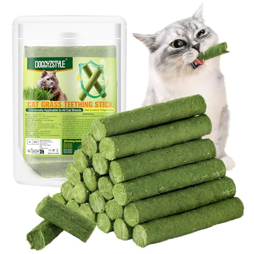 DOGGYZSTYLE 120g Katzengras Beißstab Haarballen, Kaustangen für Katzen, Katzenminze Spielzeug Stäbchen Indoor Kätzchen Kaustab DOGGYZSTYLE 120g Katzengras Beißstab Haarballen, Kaustangen für Katzen, Katzenminze Spielzeug Stäbchen Indoor Kätzchen Kaustab von DOGGYZSTYLE