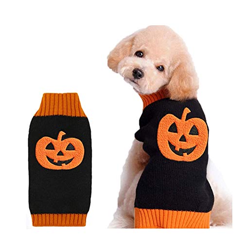 DOGGYZSTYLE Halloween Kürbis Hund Pullover Haustier Kostüm Fashion Urlaub Party Puppy Geschenk für Hunde und Katzen (Kürbis-A, L) von DOGGYZSTYLE