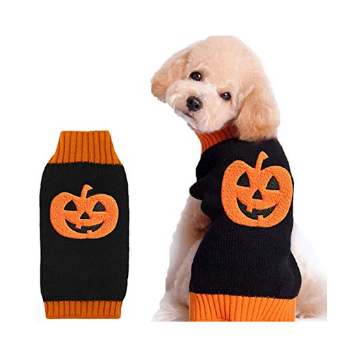 DOGGYZSTYLE Halloween Kürbis Hund Pullover Haustier Kostüm Fashion Urlaub Party Puppy Geschenk für Hunde und Katzen (Kürbis-A, XXL) von DOGGYZSTYLE