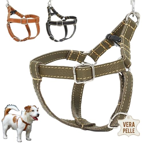 DOGISSIMI Hundegeschirr für kleine und mittlere Hunde, Verstellbares und ergonomisches Hundegeschirr aus echtem Leder, handgefertigt in Italien, Leder-Hundegeschirr (L, Militär) von DOGISSIMI