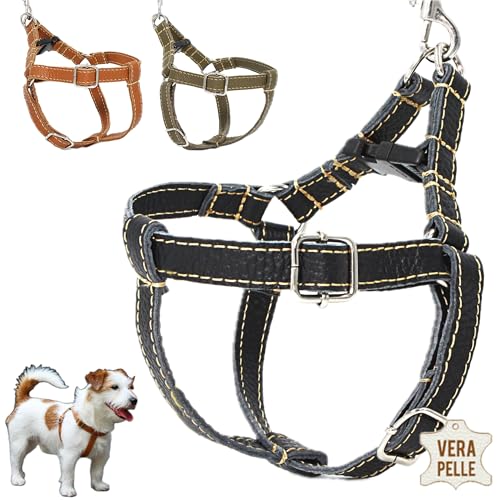 DOGISSIMI Hundegeschirr für kleine und mittlere Hunde, Verstellbares und ergonomisches Hundegeschirr aus echtem Leder, handgefertigt in Italien, Leder-Hundegeschirr (L, Schwarz) von DOGISSIMI