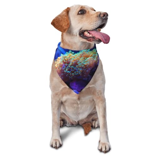Coral Reef Hundehalstücher & Haustierschals – Stilvolle und bequeme Hundeschals für kleine, mittelgroße und große Hunde Coral Reef Hundehalstücher & Haustierschals – Stilvolle und bequeme Hundeschals für kleine, mittelgroße und große Hunde von DOGJTYUEH