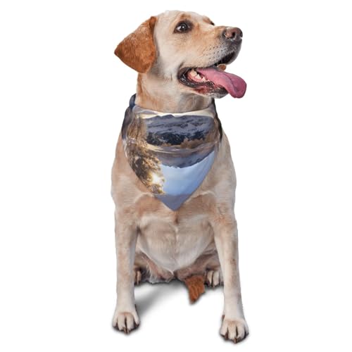 Crystal Ball Hundehalstücher & Haustierschals, stilvolle und bequeme Hundeschals für kleine, mittelgroße und große Hunde Crystal Ball Hundehalstücher & Haustierschals, stilvolle und bequeme Hundeschals für kleine, mittelgroße und große Hunde von DOGJTYUEH