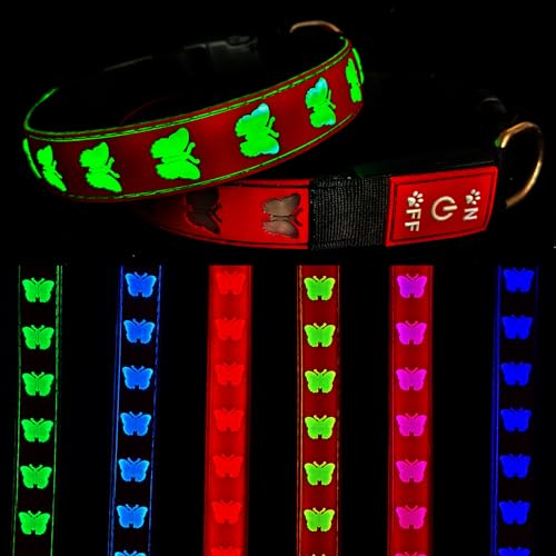 DOGLED USB-C-LED-Hundehalsband, 3D-Design, bequemes und weiches Material, mehrfarbige Beleuchtung, Nacht-Hundehalsband (BT-PING, Größe M (40-50 cm) von DOGLED