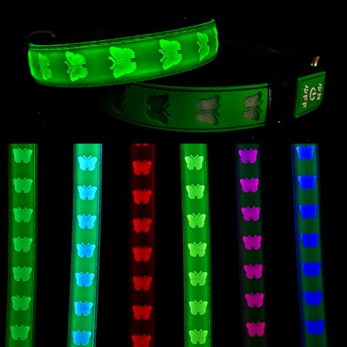 DOGLED USB-C-LED-Hundehalsband, 3D-Design, bequemes und weiches Material, mehrfarbige Beleuchtung, Nacht-Hundehalsband (BT-Grün, Größe S (30 - 40 cm) von DOGLED
