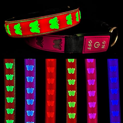 DOGLED USB-C-LED-Hundehalsband, 3D-Design, bequemes und weiches Material, mehrfarbige Beleuchtung, Nacht-Hundehalsband (BT-PING, S (30 - 40 cm) von DOGLED