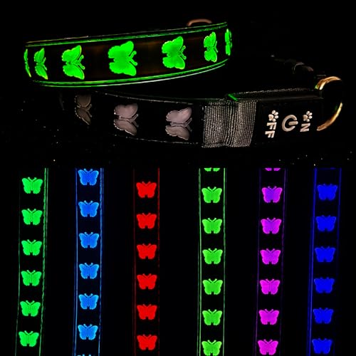 DOGLED USB-C-LED-Hundehalsband, 3D-Design, bequemes und weiches Material, mehrfarbige Beleuchtung, Nacht-Hundehalsband (BT-Schwarz, Größe S (30 - 40 cm) von DOGLED