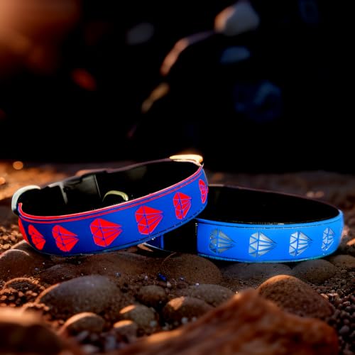 DOGLED Hundehalsband mit Lichtern für Sicherheit bei Nacht, 3D-Diamant-Design mit weichem Material, 8 Farben, 15 Modi, verstellbare Größe (M (39,9–50 cm), blau) von DOGLED