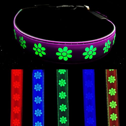 DOGLED Subversive USB-C LED-Hundehalsband, subversive 3D-Sonnenblumen-Design, bequemes und weiches Material, mehrfarbige Beleuchtung (M (39,9–50 cm), Violett) von DOGLED