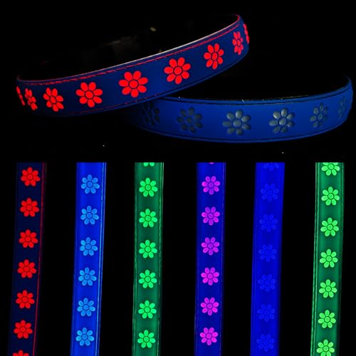 DOGLED Subversives USB-C-LED-Hundehalsband, subversives 3D-Sonnenblumen-Design, bequemes und weiches Material, mehrfarbige Beleuchtung, Größe M (39,9–50 cm), Blau von DOGLED