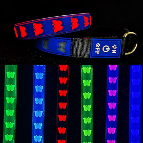 DOGLED Subversives USB-C-LED-Hundehalsband, subversives 3D-Sonnenblumen-Design, bequemes und weiches Material, mehrfarbige Beleuchtung, Größe S (30–39,9 cm), BT-Blue) von DOGLED