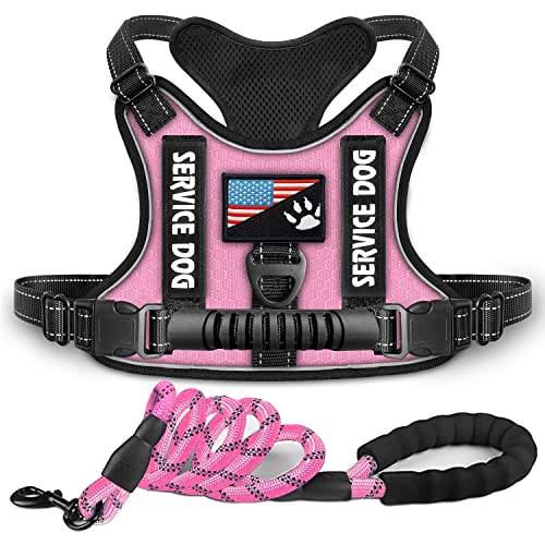 Dogmify Service Dog Harness, No-Pull Reflective Pet Vest Harness and Leash Set, adjustable Oxford Service Dog Vest with Handle, Easy Control for Small Medium Large Dogs von DOGMIFY