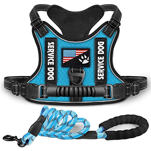 Dogmify Service Dog Harness, No-Pull Reflective Pet Vest Harness and Leash Set, adjustable Oxford Service Dog Vest with Handle, Easy Control for Small Medium Large Dogs von DOGMIFY