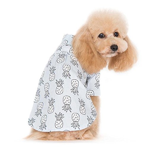 DOGO 100 Dogge Ananas Hund Shirt, Extra Large, Blau DOGO 100 Dogge Ananas Hund Shirt, Extra Large, Blau von DOGO
