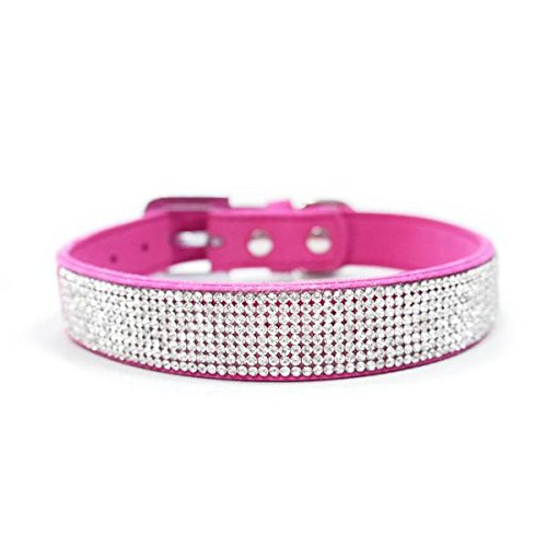 Dogo VIP Bling Hundehalsband, Fuchsia/Größe XS Dogo VIP Bling Hundehalsband, Fuchsia/Größe XS von DOGO