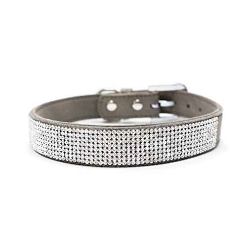 Dogo VIP Bling Hundehalsband, Grau/Größe S Dogo VIP Bling Hundehalsband, Grau/Größe S von DOGO