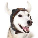 Dogo Wikingerhelm, Medium Dogo Wikingerhelm, Medium von DOGO