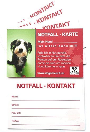 DOGS-HEART Notfallkarte Hund allein zu Hause - Bei Unfall oder Notfall Wird Dein Hund versorgt (5er-Set) von DOGS-HEART