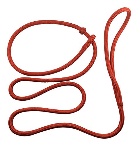 DOGS and MORE - PatchArt-Leine (Rot) - Leine und Halsband in EINEM; Retrieverleine in Sieben Farben von DOGS and MORE