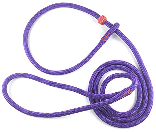 Dogs and More - PatchArt-Leine - Leine und Halsband in EINEM; Retrieverleine (Lila) von DOGS and MORE