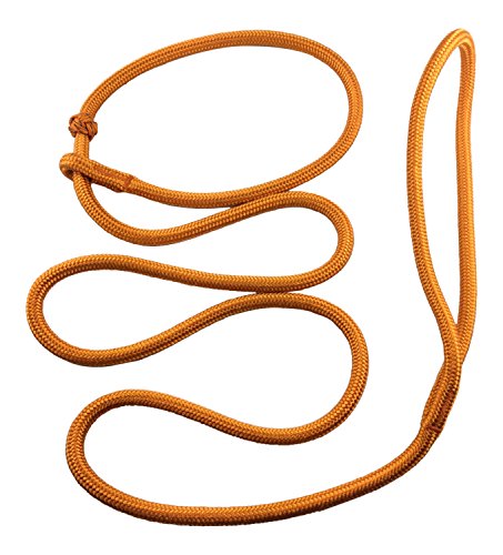 DOGS and MORE - PatchArt-Leine (Orange) - Leine und Halsband in EINEM; Retrieverleine in 7 Farben von DOGS and MORE