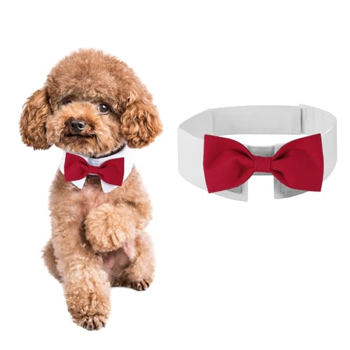 DOGTACT Elegante Fliege für Hunde, niedliche Smokingfliege mit verstellbarem weißem Halsband für formelle Haustiere, perfekt für Valentinstag, Hochzeiten und Geburtstage DOGTACT Elegante Fliege für Hunde, niedliche Smokingfliege mit verstellbarem weißem Halsband für formelle Haustiere, perfekt für Valentinstag, Hochzeiten und Geburtstage von DOGTACT